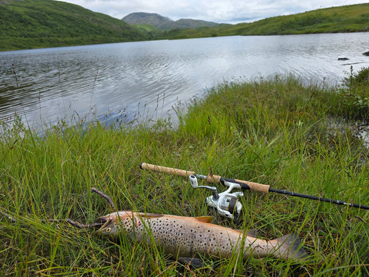 Fiskestang til fjellfiske – slik velger du