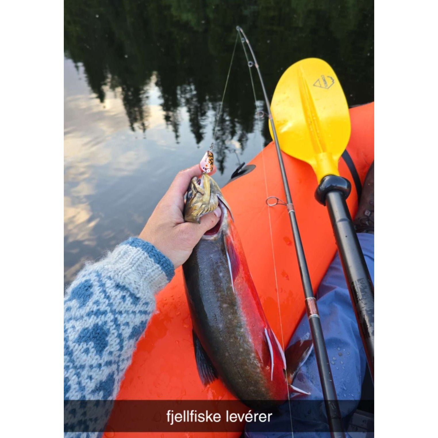 Holand Spesial 12g - Fjellfiske