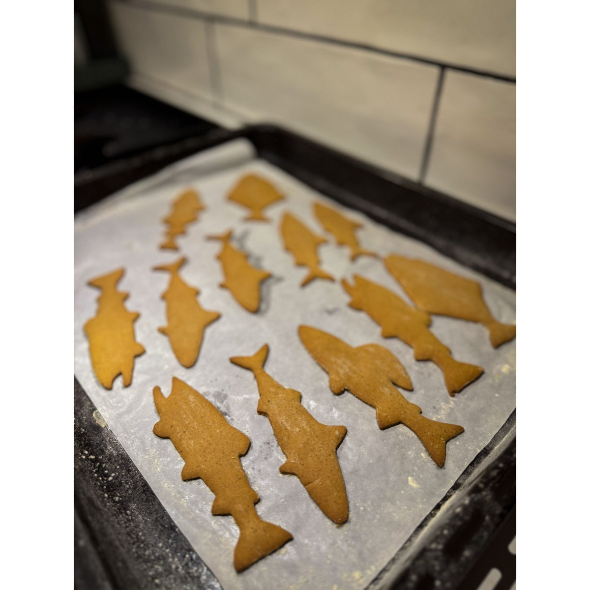 Pepparkakeformer Harr Ørret/Laks Sik - Fjellfiske